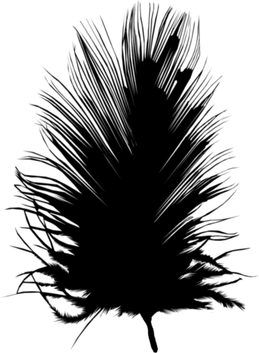 0_52d7b_77515ea7_L