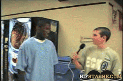 gifstache.com