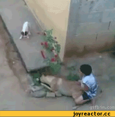 ))