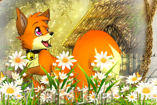 Без-имени-1-fox