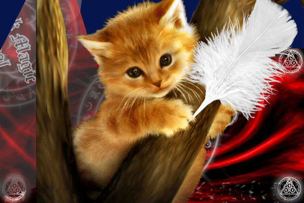 Без-имени-1-cat2