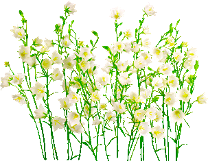 4b75e81c2c91444_yapfiles.ru