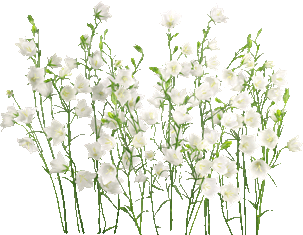 4b75e81c2c91444_yapfiles.ru