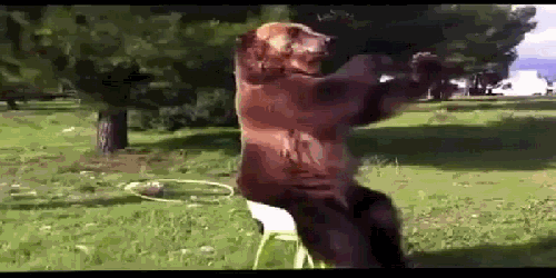 Медведь кладет на всех с "прибором"