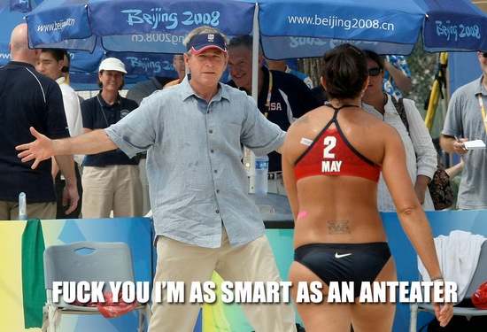 2Anteater