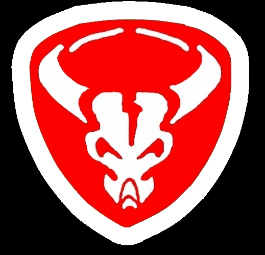 BRAVADO 1 гог черный