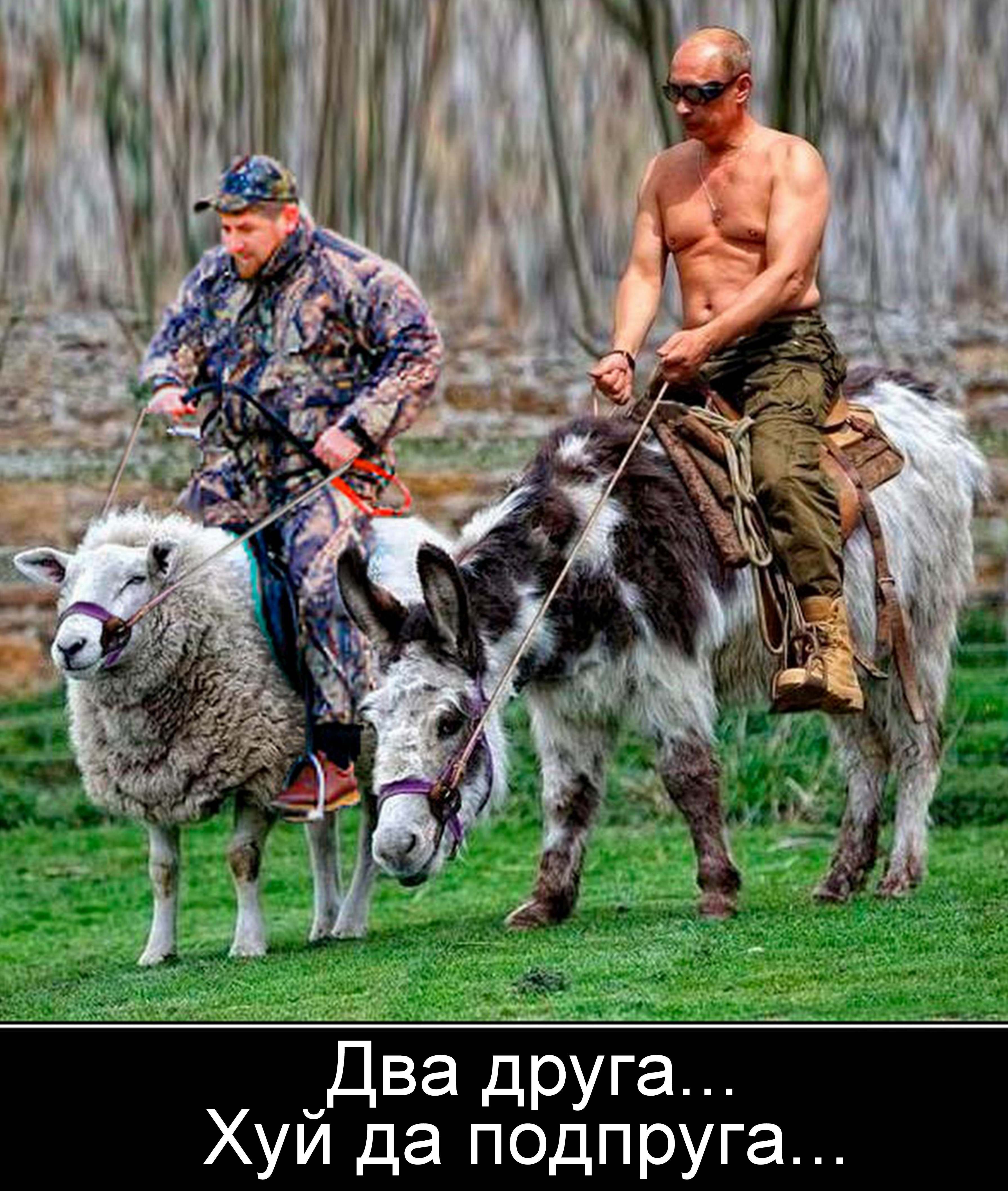 Путин на осле