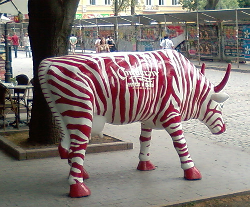 КороваОдесса