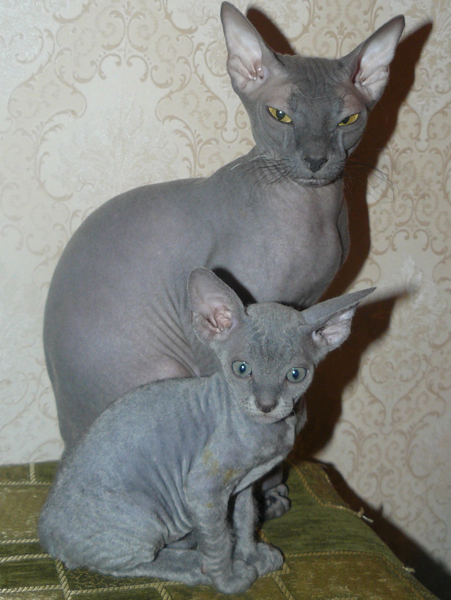 P1050454