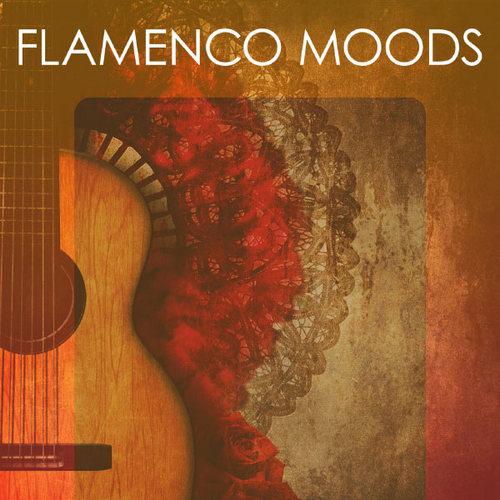 VA - Flamenco Moods (2013)