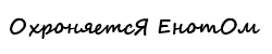 енот