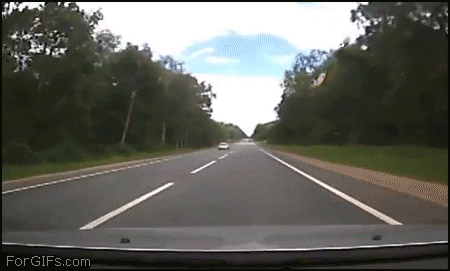 летающий лось