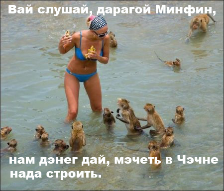 1372798461_fun