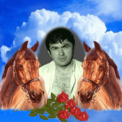 конь2