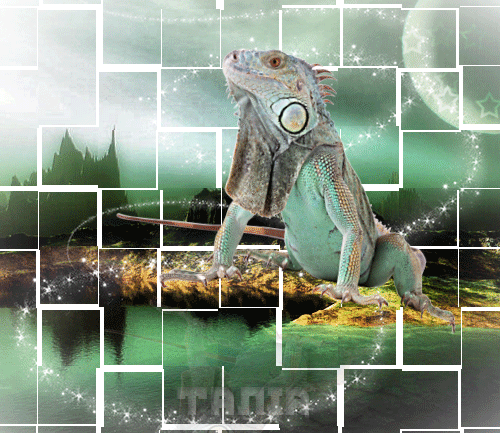 Без-имени-1--88