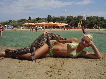 getImage