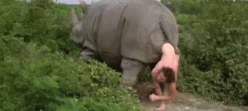 гифки-эйс-вентура-кино-песочница-531794