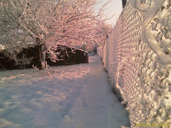 Ростовская область