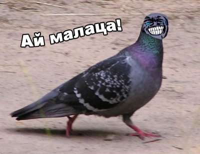 13417713857070