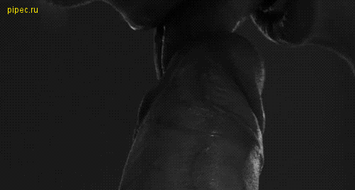 doc187859951_176861585