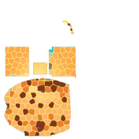 шкурка2