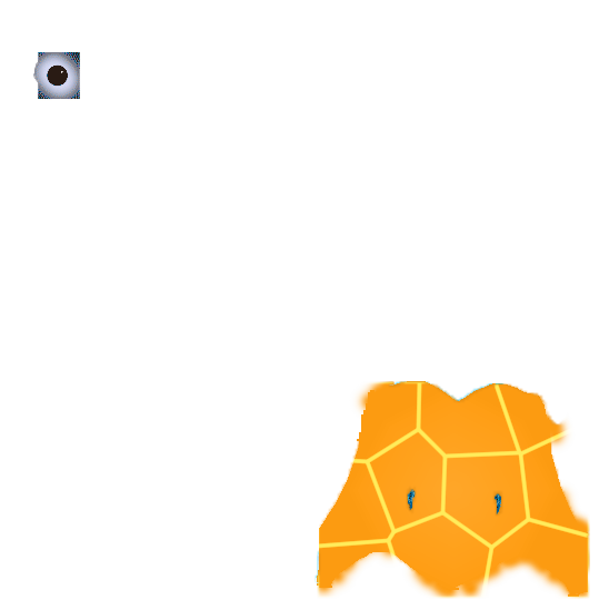 голова