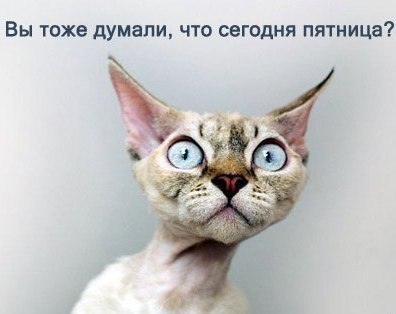 Q2uWcORuHk0