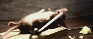 mouse