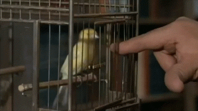 gifs_25