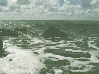 Видео0012ГИФ