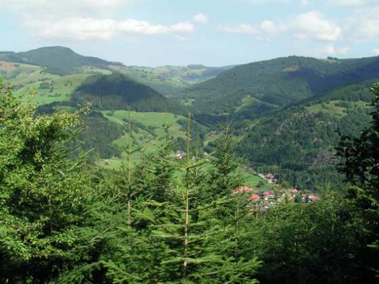 schwarzwald1