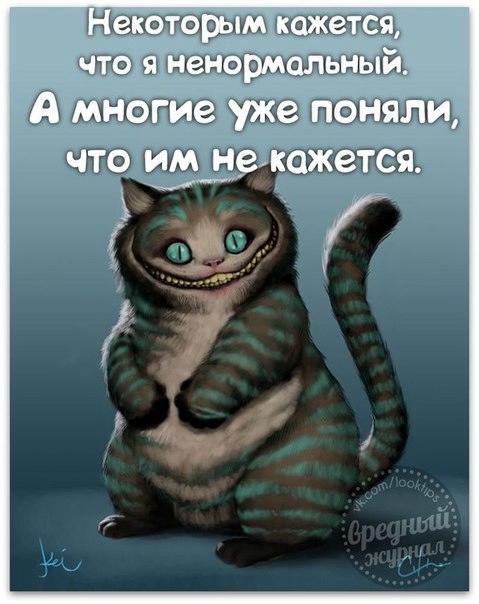 104904561_large_11