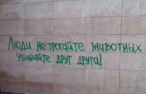 1378400169_marazmy-i-reklama-3