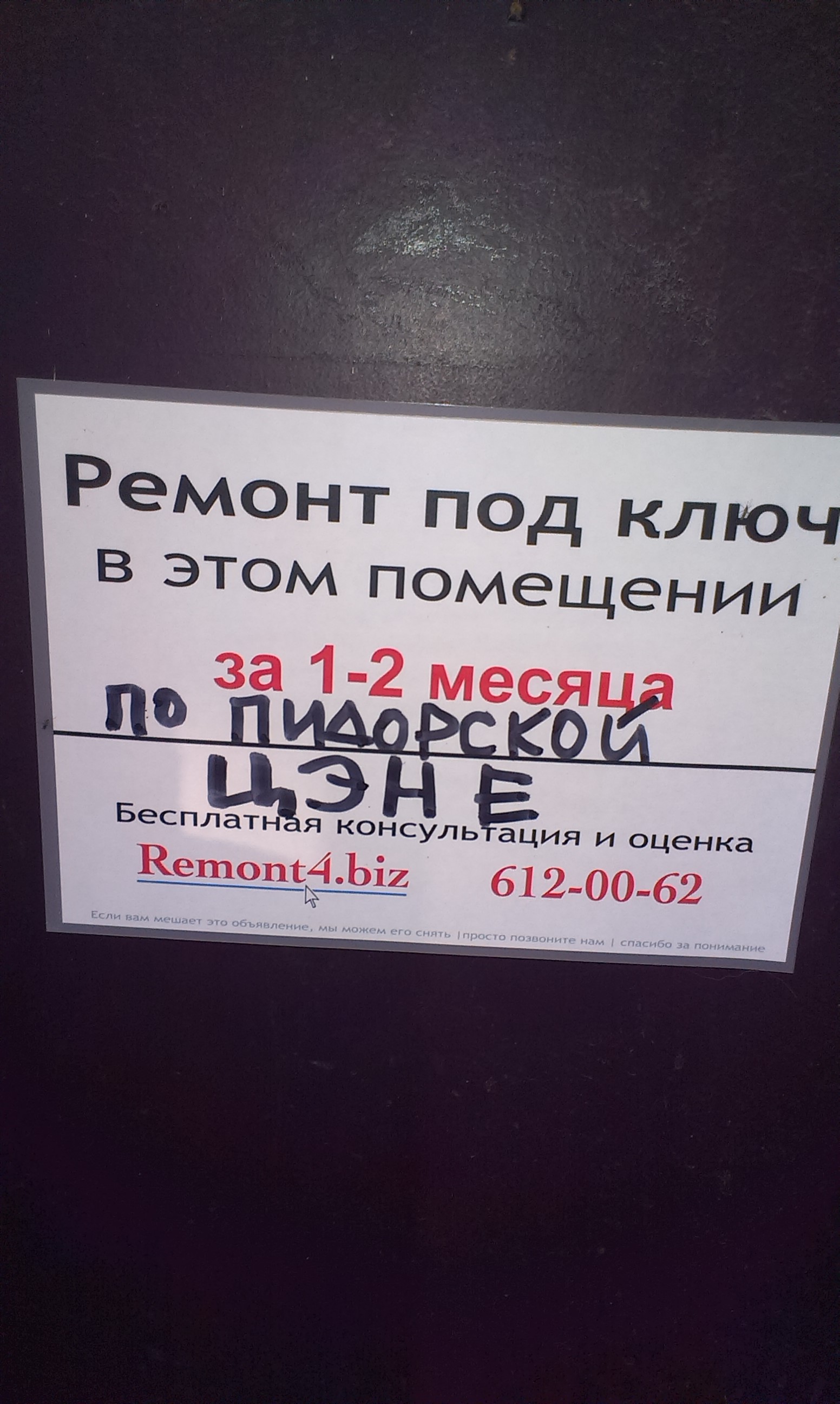 IMAG0247