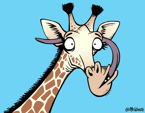 8