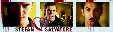 stefan salvatore