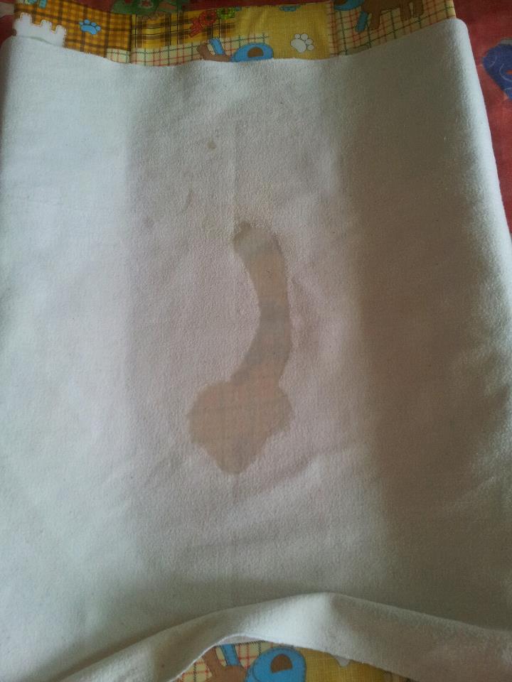 542073_469723856376598_4585198_n