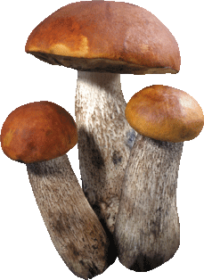 fd448a8b8adb_yapfiles.ru