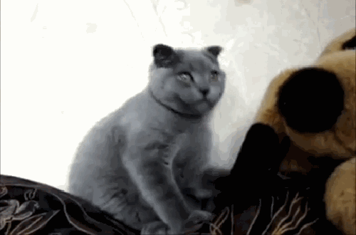 gifs_13(2)
