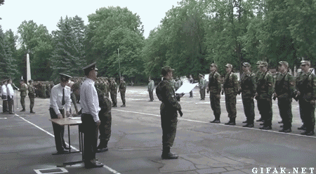 Дерево
