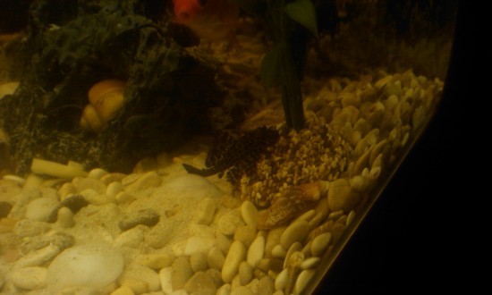 IMAG0062