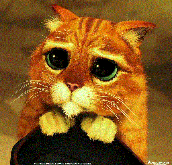 shrek_3_-_cat