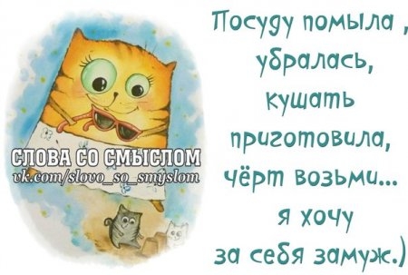 105719370_large_1380854178_frazochki12