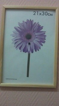 ramdisk-crop_38628021_7KDs5h5