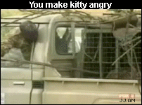 LeopardAttack
