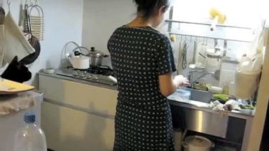 котоконтроль
