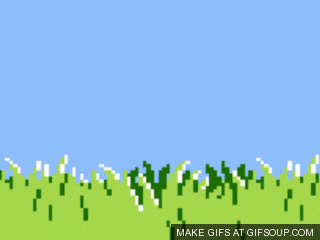 duck-hunt-dog-o
