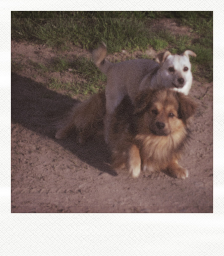 2011_0422_201030ш