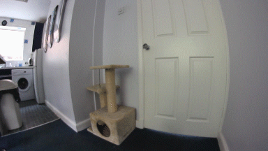 228