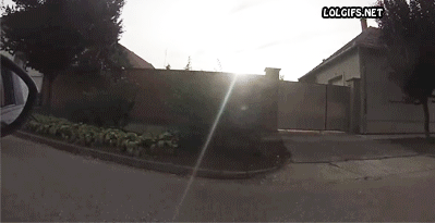 gta offline
